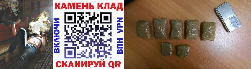Гашиш Изолятор  Кудрово 