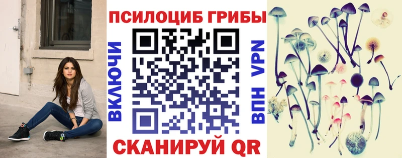 Псилоцибиновые грибы мицелий ссылка на мегу зеркало Кудрово