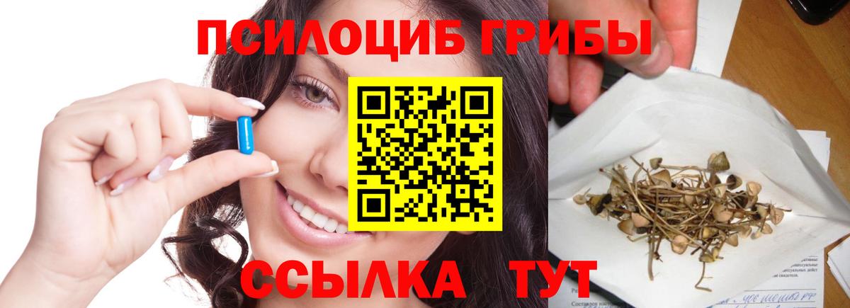 Галлюциногенные грибы мухоморы  Вход с VPN  Псилоцибиновые грибы GOLDEN TEACHER  Кудрово 